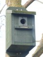 /album/my-local-birding-gallery/blue-tit-nesting-box-jpg/